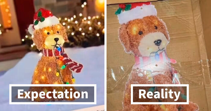 49 Times People Ordered Something From Temu And Learned A Hilarious Lesson