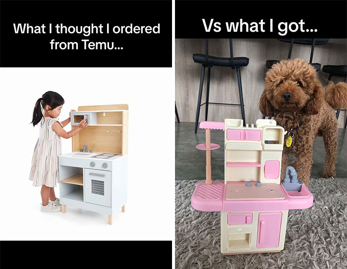 Comparison of what a child expected from Temu versus the small toy kitchen actually received, showing typical order surprises.