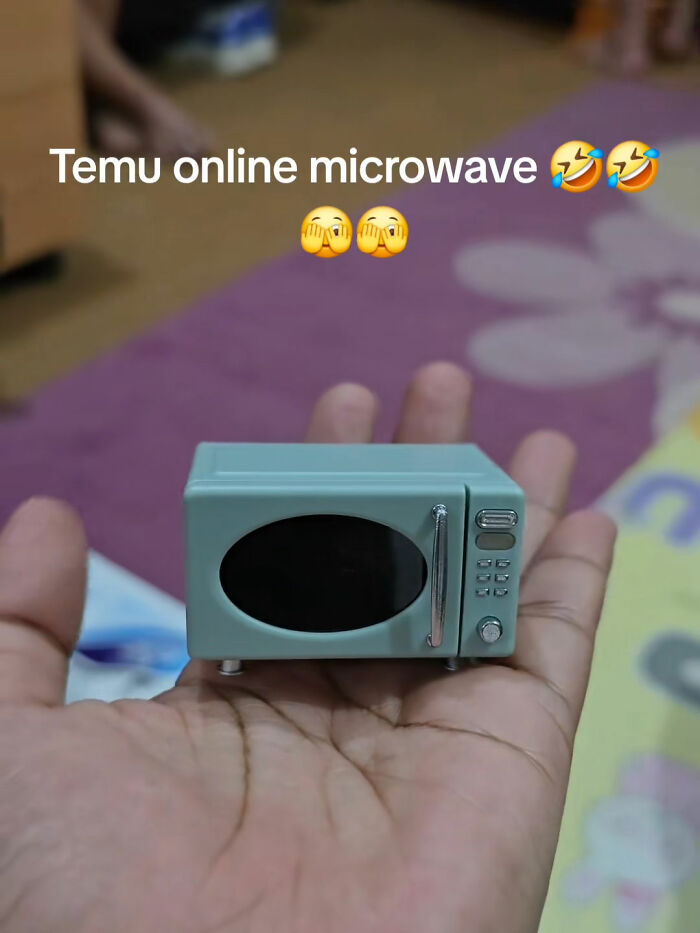 Small model microwave from Temu placed on an open hand, illustrating a funny online shopping lesson.