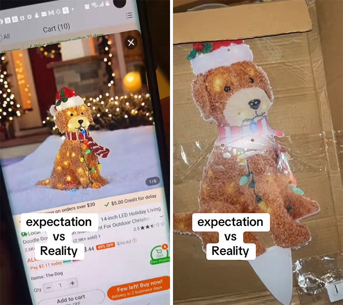 Temu order expectation vs reality showing a holiday dog decoration that looks different in person.