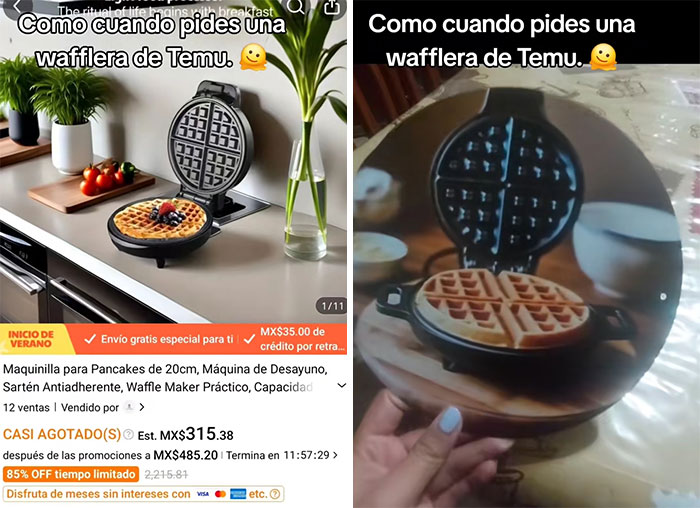 Comparison of a Temu waffle maker product image versus the actual received item showing humorous differences.