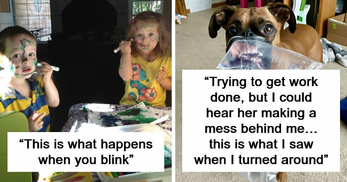 57 Troublemakers Who Were Guilty As Charged But Their Hilarity Got Them Off The Hook