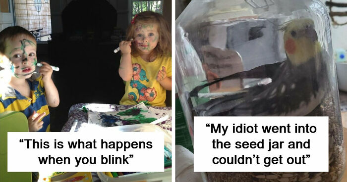 57 Troublemakers Who Were Guilty As Charged But Their Hilarity Got Them Off The Hook