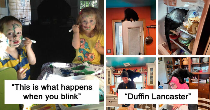 57 Times Troublemakers Left People In Fits Of Laughter With Their Ridiculous Antics