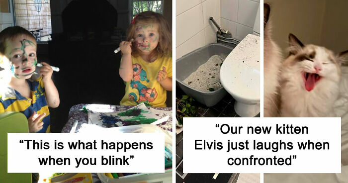 57 Times Troublemakers Left People In Fits Of Laughter With Their Ridiculous Antics
