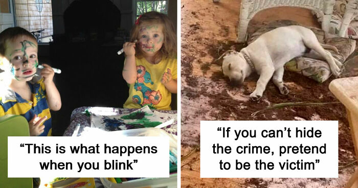 57 Times Troublemakers Left People In Fits Of Laughter With Their Ridiculous Antics