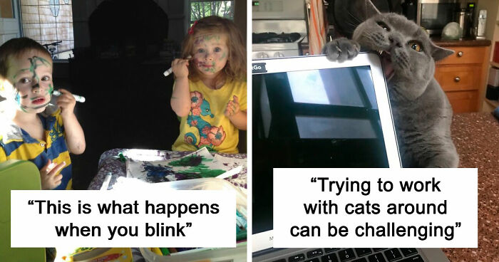 57 Times Troublemakers Left People In Fits Of Laughter With Their Ridiculous Antics