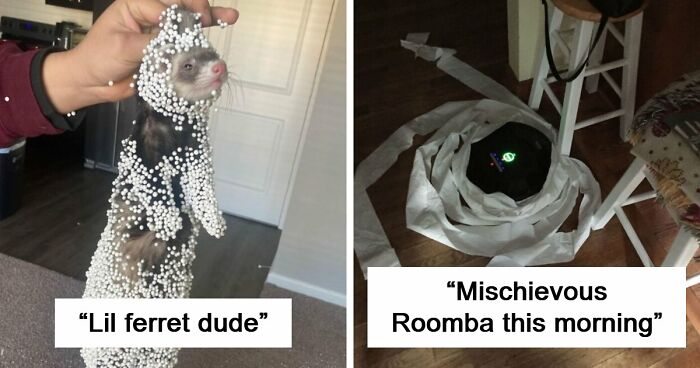 57 Troublemakers Who Were Guilty As Charged But Their Hilarity Got Them Off The Hook