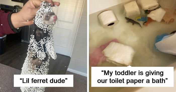 57 Troublemakers Who Were Guilty As Charged But Their Hilarity Got Them Off The Hook