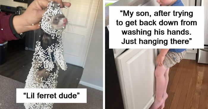 57 Troublemakers Who Were Guilty As Charged But Their Hilarity Got Them Off The Hook