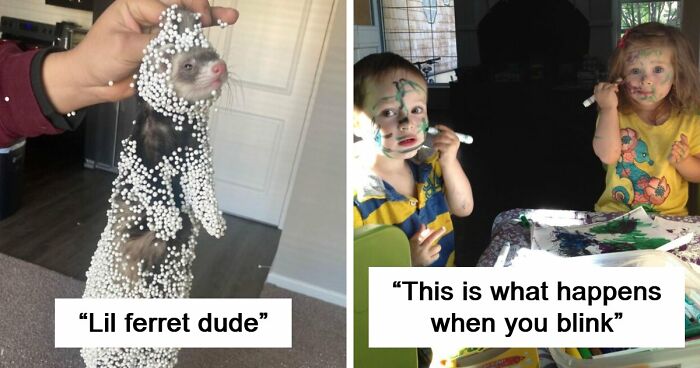 57 Troublemakers Who Were Guilty As Charged But Their Hilarity Got Them Off The Hook