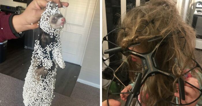 57 Troublemakers Who Were Guilty As Charged But Their Hilarity Got Them Off The Hook