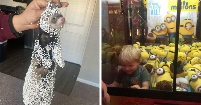 57 Troublemakers Who Were Guilty As Charged But Their Hilarity Got Them Off The Hook