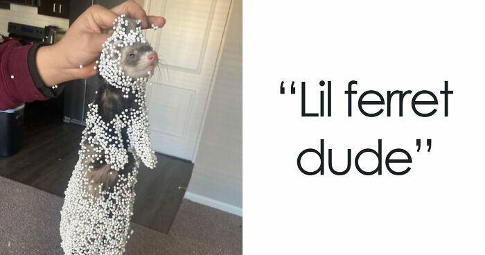 57 Troublemakers Who Were Guilty As Charged But Their Hilarity Got Them Off The Hook