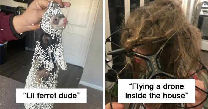 57 Troublemakers Who Were Guilty As Charged But Their Hilarity Got Them Off The Hook