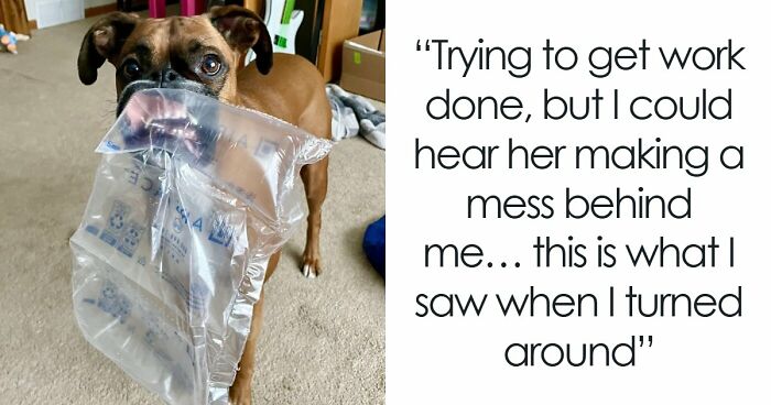 57 Troublemakers Who Were Guilty As Charged But Their Hilarity Got Them Off The Hook