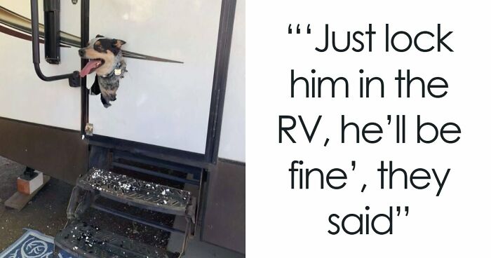57 Troublemakers Who Were Guilty As Charged But Their Hilarity Got Them Off The Hook