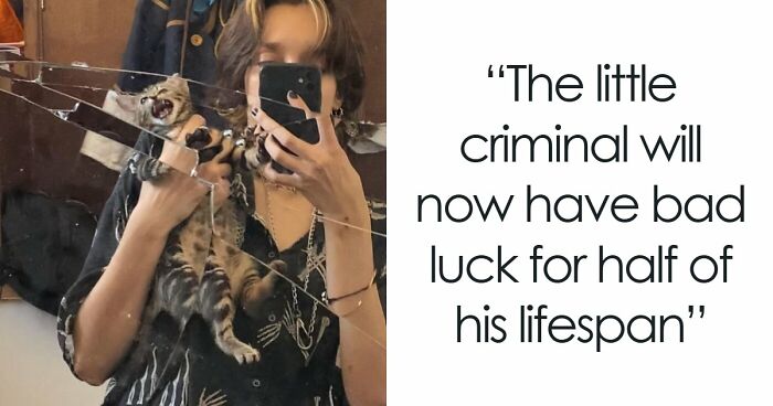 57 Troublemakers Who Were Guilty As Charged But Their Hilarity Got Them Off The Hook