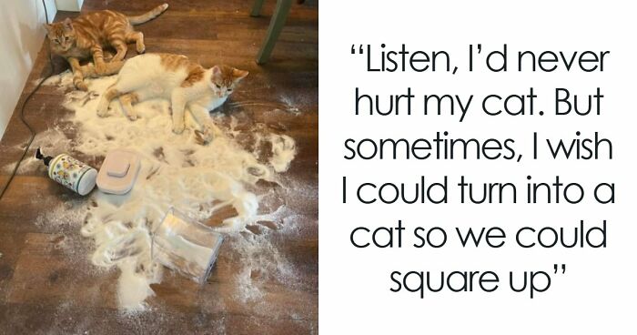 57 Troublemakers Who Were Guilty As Charged But Their Hilarity Got Them Off The Hook