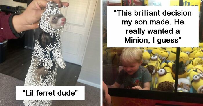 57 Troublemakers Who Were Guilty As Charged But Their Hilarity Got Them Off The Hook