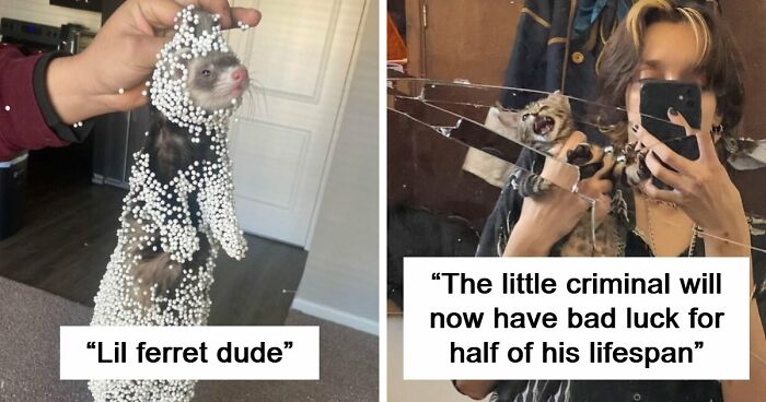 57 Troublemakers Who Were Guilty As Charged But Their Hilarity Got Them Off The Hook