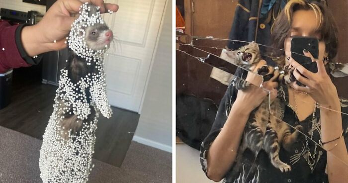 57 Troublemakers Who Were Guilty As Charged But Their Hilarity Got Them Off The Hook