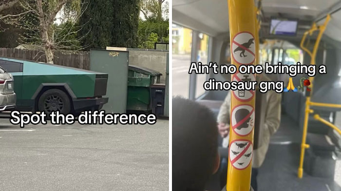 40 Random Unhinged Pics That Make Absolutely No Sense But Are Hilarious