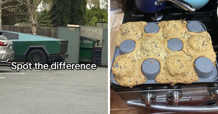 40 Random Unhinged Pics That Make Absolutely No Sense But Are Hilarious