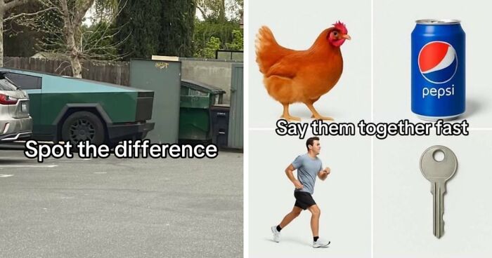 40 Random Unhinged Pics That Make Absolutely No Sense But Are Hilarious