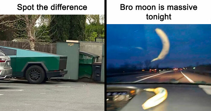 40 Random Unhinged Pics That Make Absolutely No Sense But Are Hilarious
