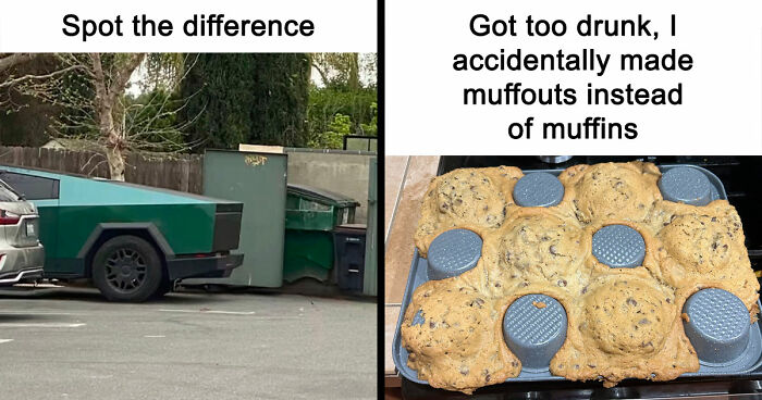 40 Random Unhinged Pics That Make Absolutely No Sense But Are Hilarious