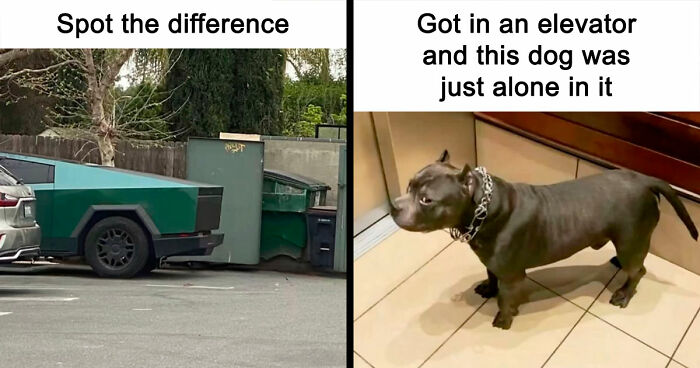 40 Random Unhinged Pics That Make Absolutely No Sense But Are Hilarious