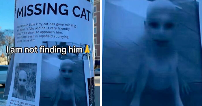 40 Random Unhinged Pics That Make Absolutely No Sense But Are Hilarious