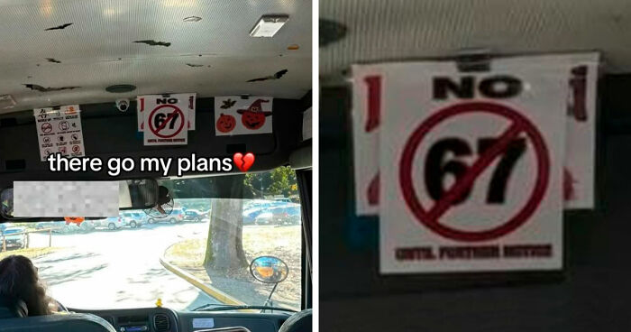 40 Random Unhinged Pics That Make Absolutely No Sense But Are Hilarious
