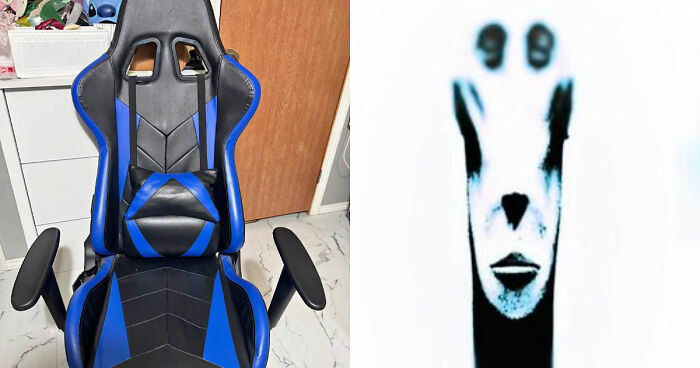 40 Random Unhinged Pics That Make Absolutely No Sense But Are Hilarious