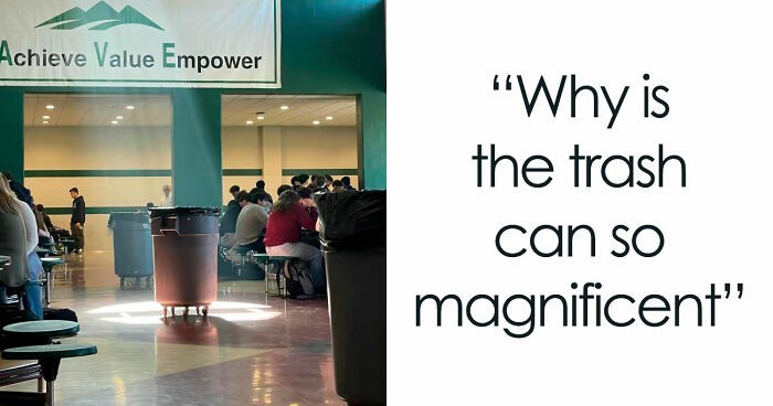 40 Random Unhinged Pics That Make Absolutely No Sense But Are Hilarious