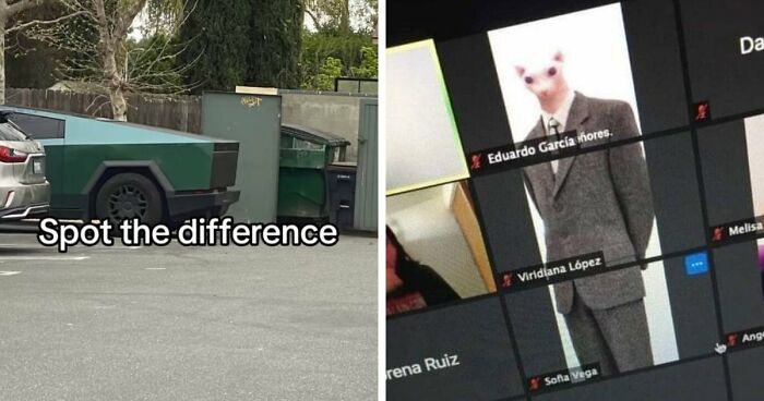 40 Random Unhinged Pics That Make Absolutely No Sense But Are Hilarious