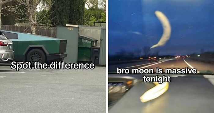 40 Random Unhinged Pics That Make Absolutely No Sense But Are Hilarious