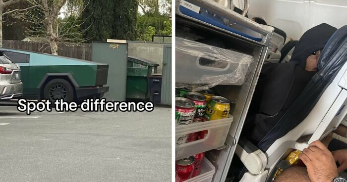 40 Random Unhinged Pics That Make Absolutely No Sense But Are Hilarious