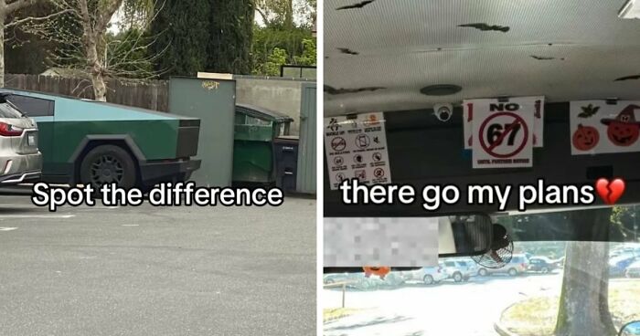 40 Random Unhinged Pics That Make Absolutely No Sense But Are Hilarious