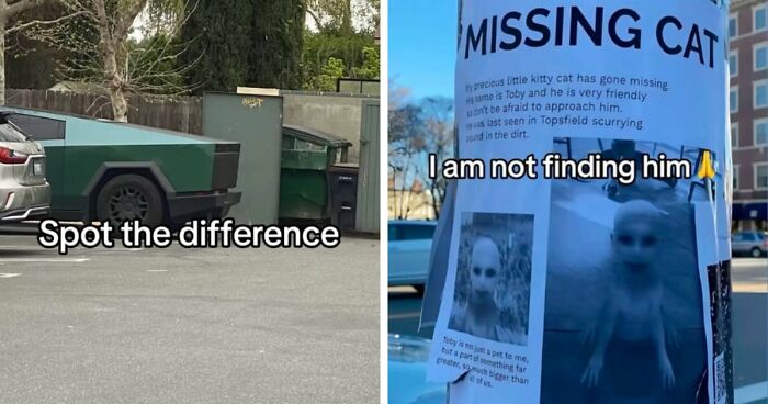 40 Random Unhinged Pics That Make Absolutely No Sense But Are Hilarious