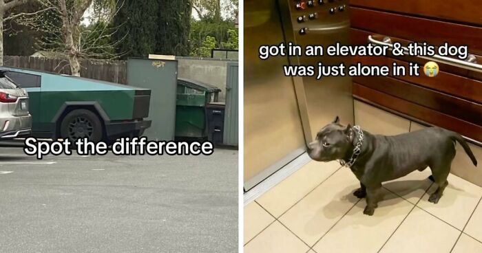 40 Random Unhinged Pics That Make Absolutely No Sense But Are Hilarious