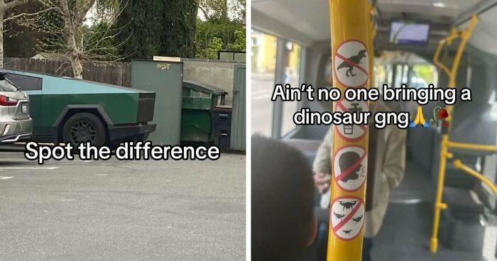 40 Random Unhinged Pics That Make Absolutely No Sense But Are Hilarious
