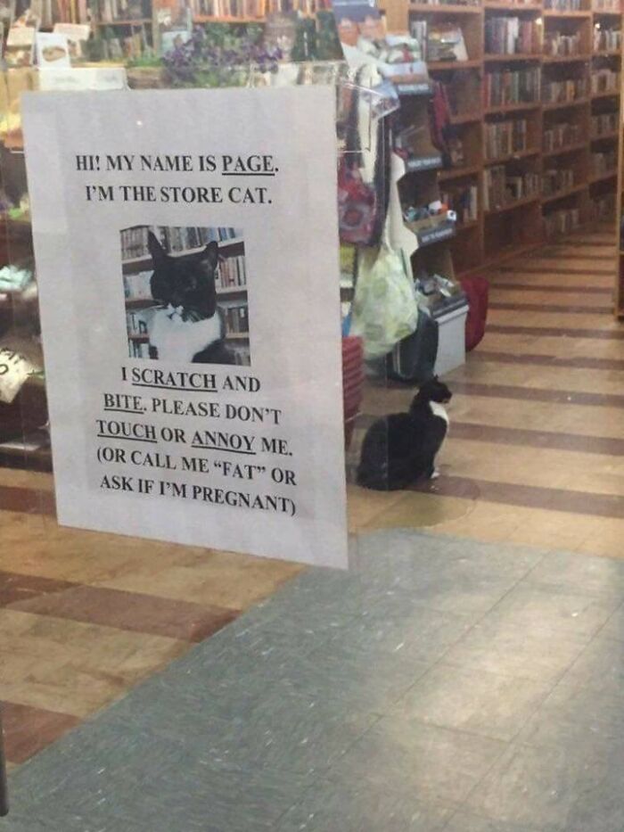 Store cat sitting inside a bookstore with a sign warning customers not to annoy or touch the cat at its job.