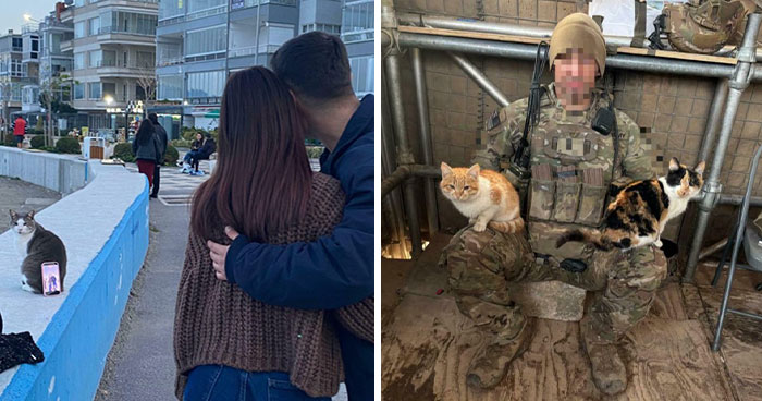 Capitalism Has Gone So Far, Even Cats Have Jobs These Days (83 Funny New Pics)