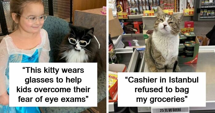 Capitalism Has Gone So Far, Even Cats Have Jobs These Days (83 Funny New Pics)