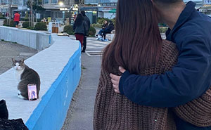 “Cleared A Four-Year Mouse Problem In Three Days”: 83 Funny Cats With Jobs They Take Very Seriously (New Pics)