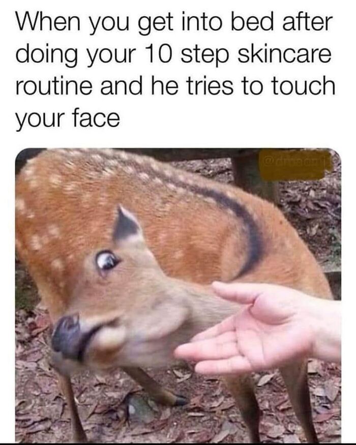 A startled deer recoils from a human hand, humorously illustrating romantic relationships and personal boundaries.