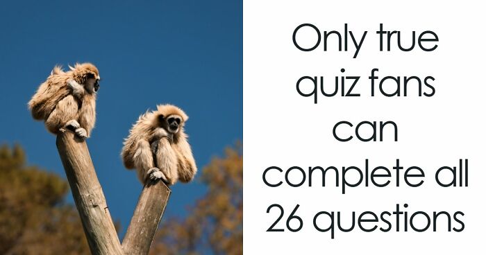 “Do You Know Your ABCs?”: Prove It With These 26 General Knowledge Questions