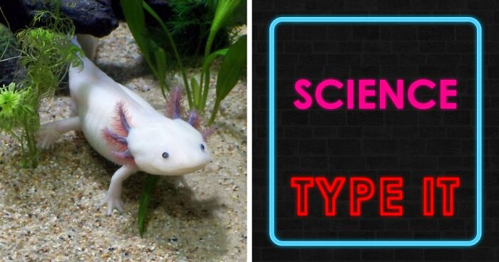 27 Science Questions To Test Your Knowledge – Prove Your Understanding